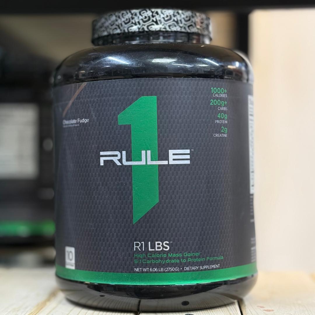 مس گینر رول وان 2.7 کیلوگرم